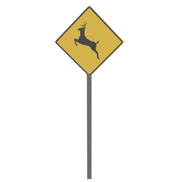 Deer Traffic Sign isolated on white background