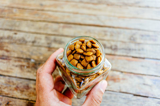 istock dog food 2128849767
