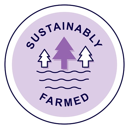 Earth-Conscious Creation: Sustainably Made. Vector Badge Icon.
