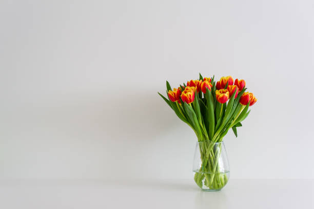 istock Vibrant tulips in a glass vase against a white backdrop 2128968280