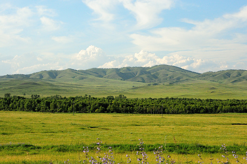 Panoramic view across a clearing, a narrow strip of forest and a range of high hills under a cloudy summer sky. Khakassia, Siberia, Russia.