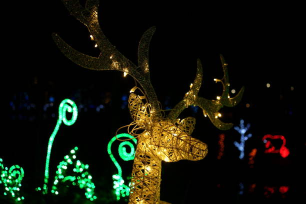 istock Winter festivities survey 2023 2128973842