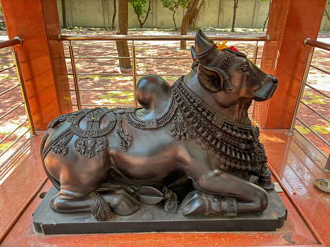 Statue of Nandi bull Hindu religious symbol. Nandi in the temple situated near Nashik state Maharashtra India.