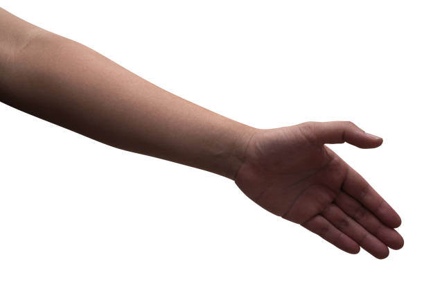 Close up male hand reach and ready to help or receive. Gesture isolated on white background with clipping path.