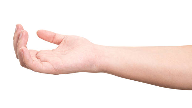 istock Male hand reach and ready to help or receive. Gesture isolated on white background. 2129018310