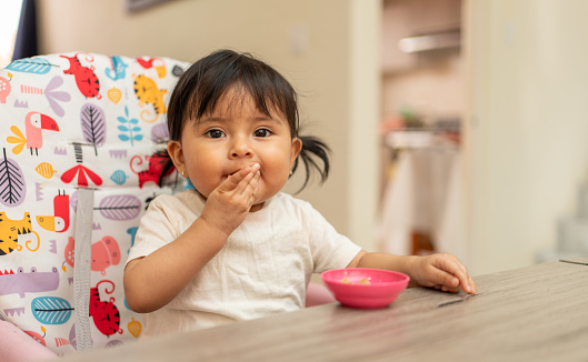 portrait of a Hispanic toddler girl eating on her baby chair, Latin kid looking at camera while feeding putting her hand in mouth