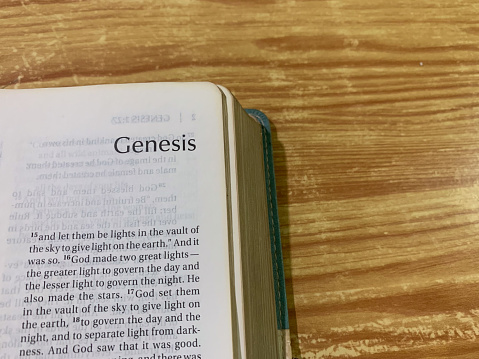 Genesis Old Testament Book of the Holy Bible