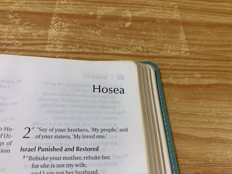 Hosea Old Testament Book of the Holy Bible