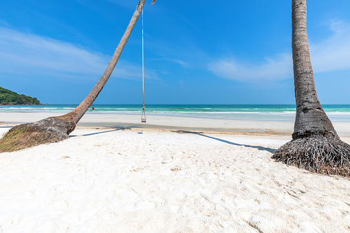 A swing attached to a palm tree on idyllic Sao Beach on Phu Quoc Island, Vietnam