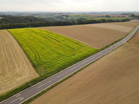 View from above of a road between agriculture farm fields in the countryside in autumn