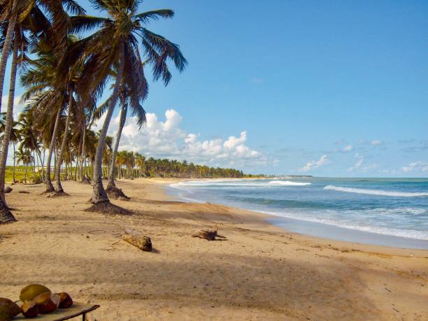 istock Dominican Republic private beach 2129189815