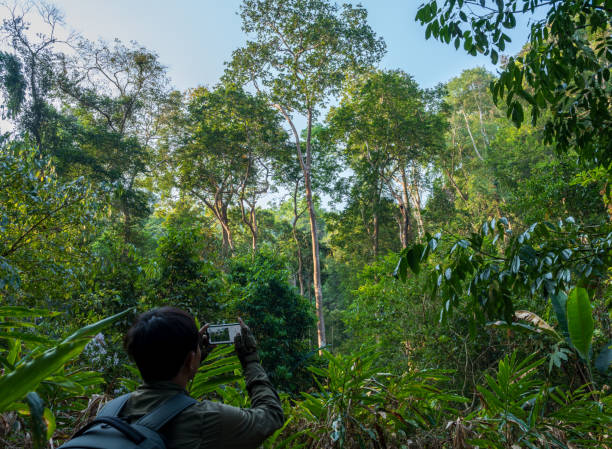 istock Man taking photo in forest 2129279991
