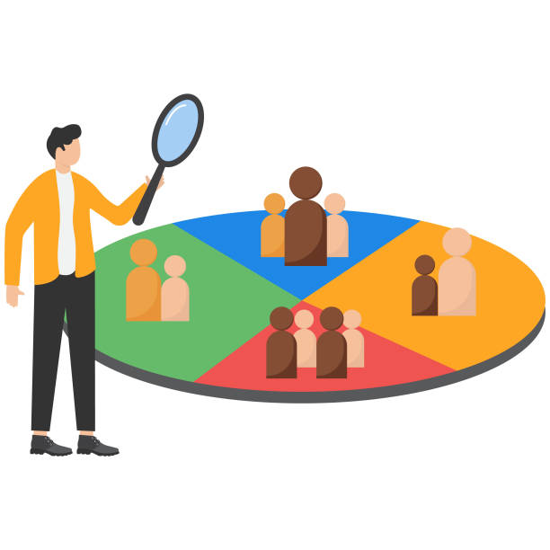 customer segment analysis for marketing or advertising, target audience, consumer or user group, demographic data or profile to target concept, business team analyzing customer segment pie chart. - customer pie chart demographic people stock illustrations