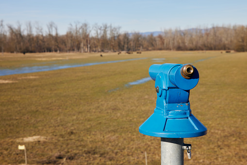 Blue coin viewer displayed in a green field near water