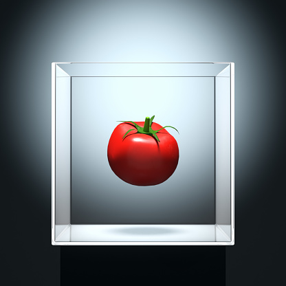 Levitating tomato exhibited in a clear glass box. Genetically modified food and abstract fruit concept. 3D rendering.