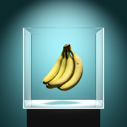 Levitating fresh bananas exhibited in a clear glass box on blue background. Genetically modified food and abstract fruit concept. 3D rendering.
