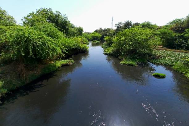 Agricultural, Gamdi to Hirapur Road, Ahmedabad,  Gujarat