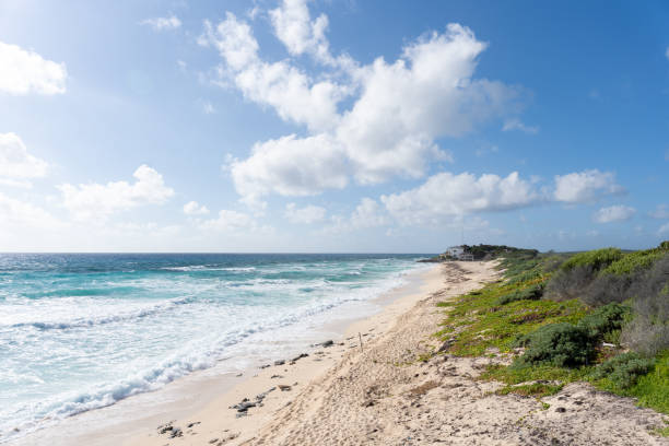 istock Unspoiled beach with surf on Cozumel Island, Mexico 2129378002