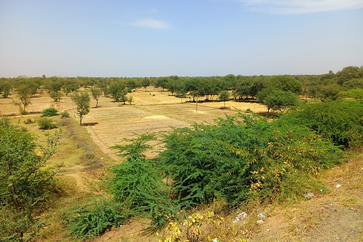 Agricultural, Mahemdabad to Mahudha Road, Gujarat