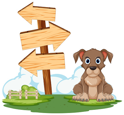 Cute brown puppy sitting by wooden direction signs