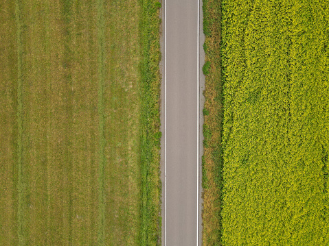 Aerial view of a road between a grass and a rapeseed field in the countryside