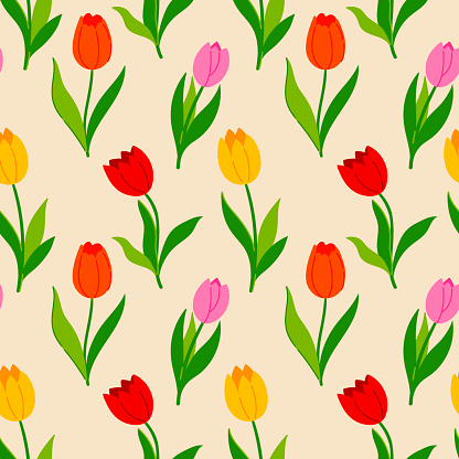 Seamless pattern with multi-colored tulip flowers. Vector image.