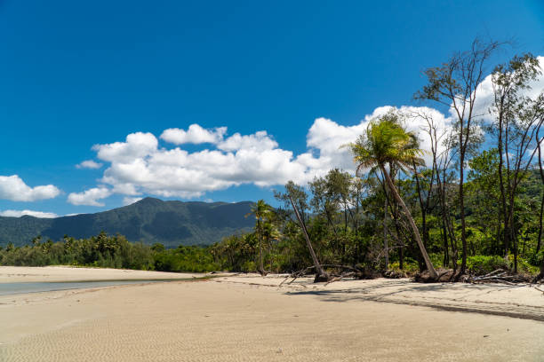 Cape Tribulation beach, Queensland, Australia