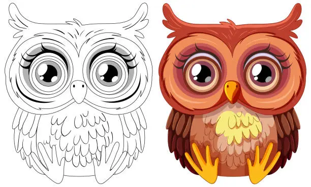 Vector illustration of Two stylized owls, one colored and one sketched.