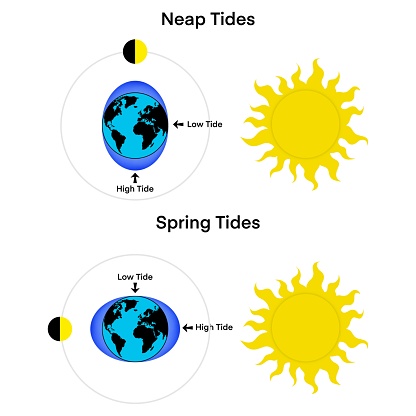 Tides, Moon, Sun and Earth, How sea tides are caused by the gravitational pull of the moon and the sun, Tidal phenomena, Gravitational forces between Earth, Moon, and Sun, Low tide and high tide