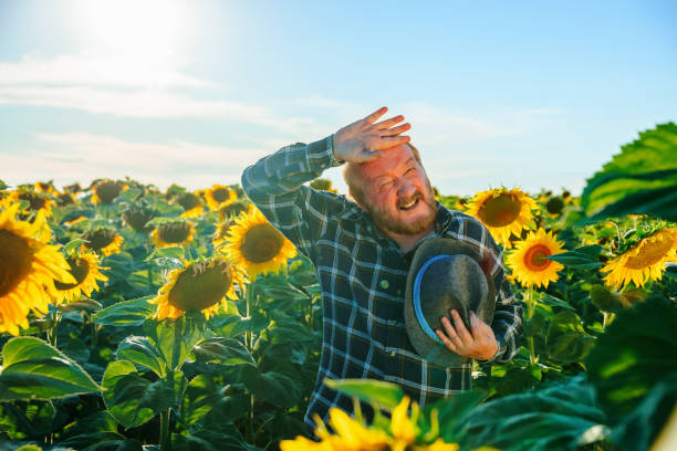 istock exhausted senior farmer in checkered shirt touching forehead while looking at camera 2129502806