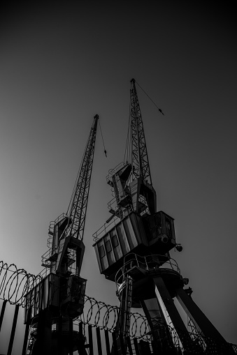 A monochrome low-angle shot of two cranes perched on a pier.