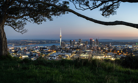 Auckland, New Zealand - March 31 2024: Sky Tower and Auckland Harbour Bridge at dawn, framed by Pohutukawa trees. Mt Eden summit. Auckland.
