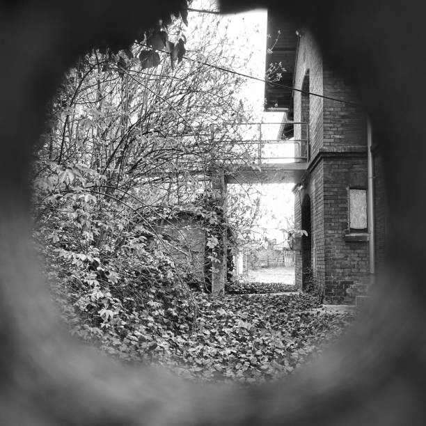 istock Vienna, an old house and its garden 2129529011