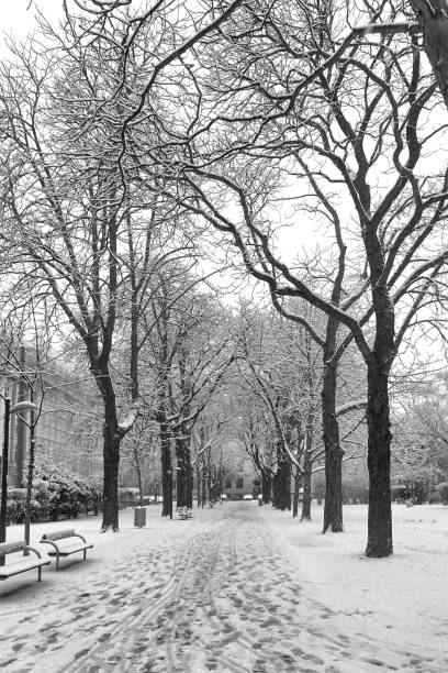 istock Vienna, All Saints Park in the 20th district (Brigittenau) during winter time 2129529210