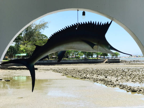 istock Sailfish sculpture on the beach in Rayong, Thailand. 2129537671