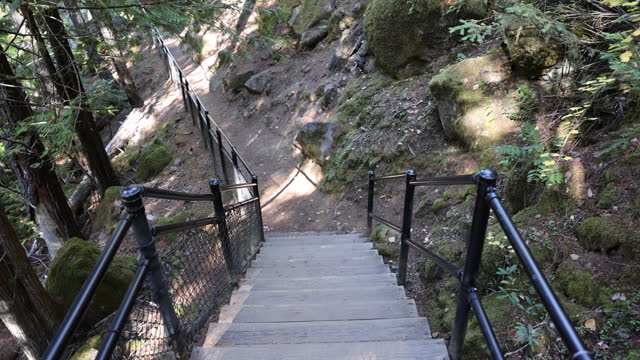 A wooden staircase with a metal railing leading up a hill