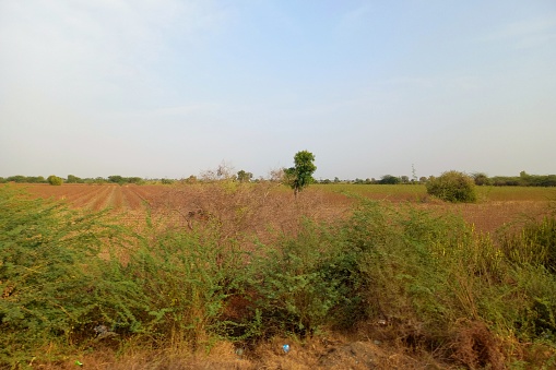Agricultural, Shankheshwar to Dashada Road, Gujarat
