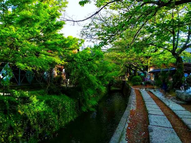 京都の道端にある川の美しい雰囲気