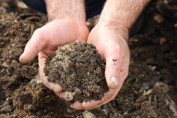 istock Freshly sifted compost soil to fertilize the garden 2129583594