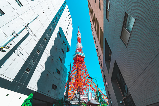 Tokyo tower and residential building in Tokyo