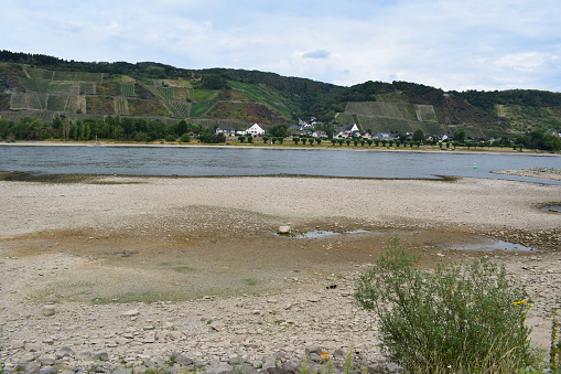 river Rhine fallen half dry