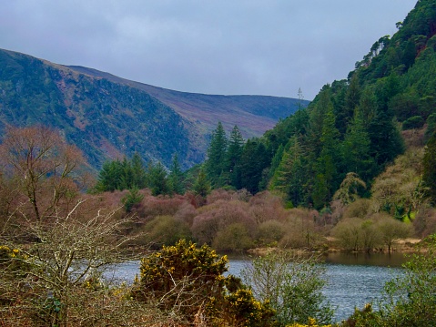 The calm waters of Lochan Reòidhte on the Three Lochs Drive near Aberfoyle in The Trossachs, Scotland, UK