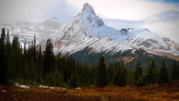 istock Road to the Rockies 2129606528