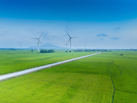 view of turbine green energy electricity, windmill for electric power production, Wind turbines generating electricity on rice field at Phan Rang, Ninh Thuan province, Vietnam. Clean energy concept.