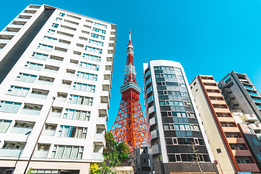 Tokyo tower and residential building in Tokyo