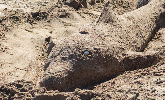 Dry sand land with a big dug hole close up