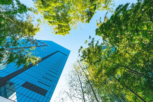 Business towers and Green leaves