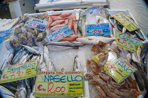 Genoa in Liguria Italy on October 30, 2023 shops and terraces under the arcades near the old port. Fresh fishes on stall at fishmonger.