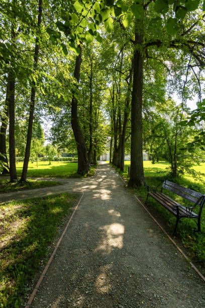 istock Pathway in the park with trees and grass on a sunny day 2129660179