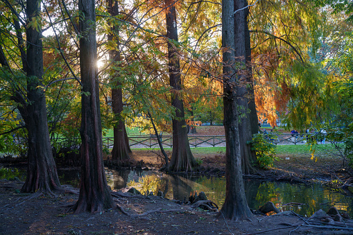 Parco Sempione, public park in Milan, Lombardy, Italy, in November